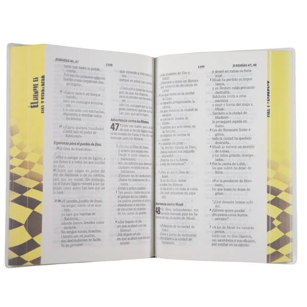 Biblia Traducción Lenguaje Actual Chica Letra Grande 8 pts Vinil  TLA042LG Fiel 