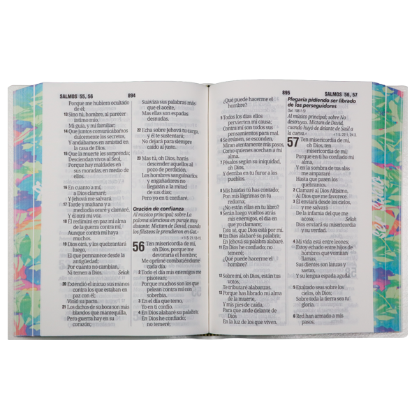 Biblia Reina Valera 1960 Chica Letra Grande 11 pts Vinil  RVR042cPJR Sabio 