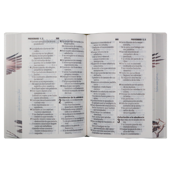 Biblia Reina Valera 1960 Chica Letra Grande 11 pts Vinil  RVR042cPJR Águilas 