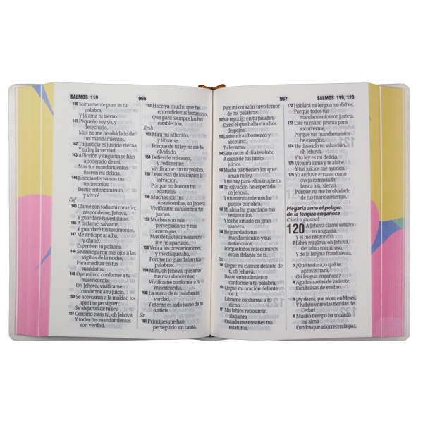 Biblia Reina Valera 1960 Chica Letra Grande 11 pts Vinil  RVR042cPJR Lycoris 