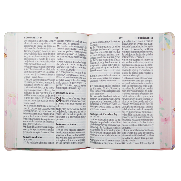 Biblia Reina Valera 1960 Mediana Letra Gigante 14 pts Imitación Piel PU  RVR065cLGiPJR Lustre 