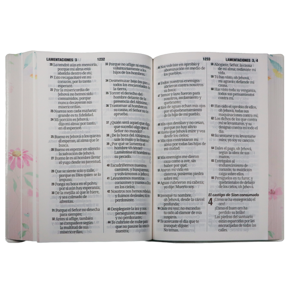 Biblia Reina Valera 1960 Mediana Letra Gigante 14 pts Vinil  RVR062cLGiPJR Lustre 