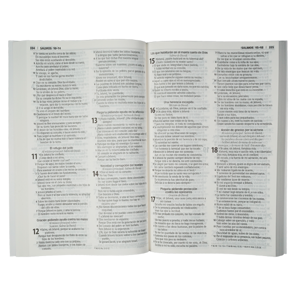 Biblia Misionera RVR060 Mediana Letra Mediana Creada Con Propósito Tapa Rústica Nuevos Diseños