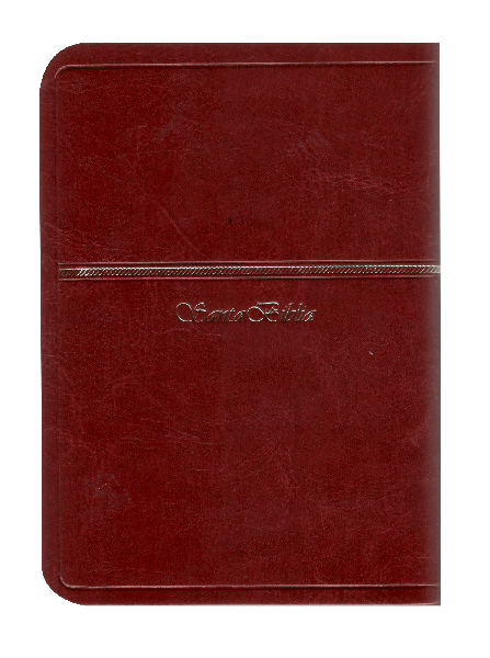 CONTRAPORTADA