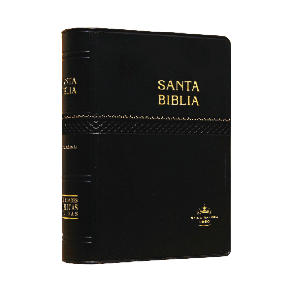 Biblia Reina Valera 1960 Tamaño Bolsillo Letra Chica Vinil Negro [RVR022]