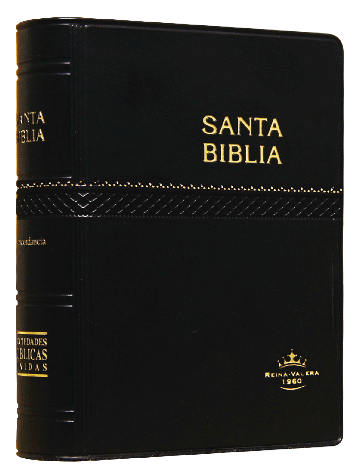 Biblia Reina Valera 1960 Tamaño Bolsillo Letra Chica Vinil Negro [RVR022]