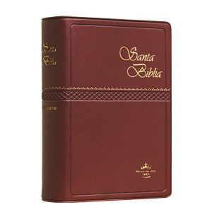 Biblia Reina Valera 1960 Tamaño Bolsillo Letra Chica Vinil Vino [RVR022c]