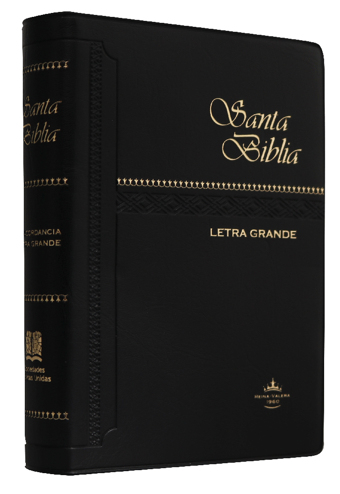 Biblia Reina Valera 1960 Chica Letra Grande Vinil Negro [RVR042cLG]