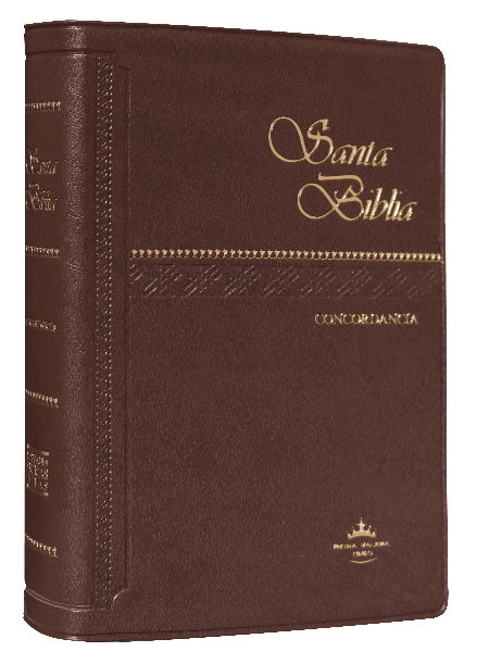 Biblia Reina Valera 1960 Chica Letra Chica Vinil Café [RVR042C]
