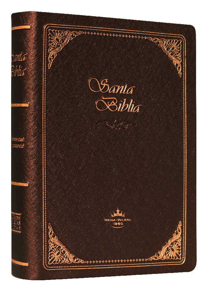 Biblia Reina Valera 1960 Chica Letra Chica Vinil Café Imperial [RVR042c]