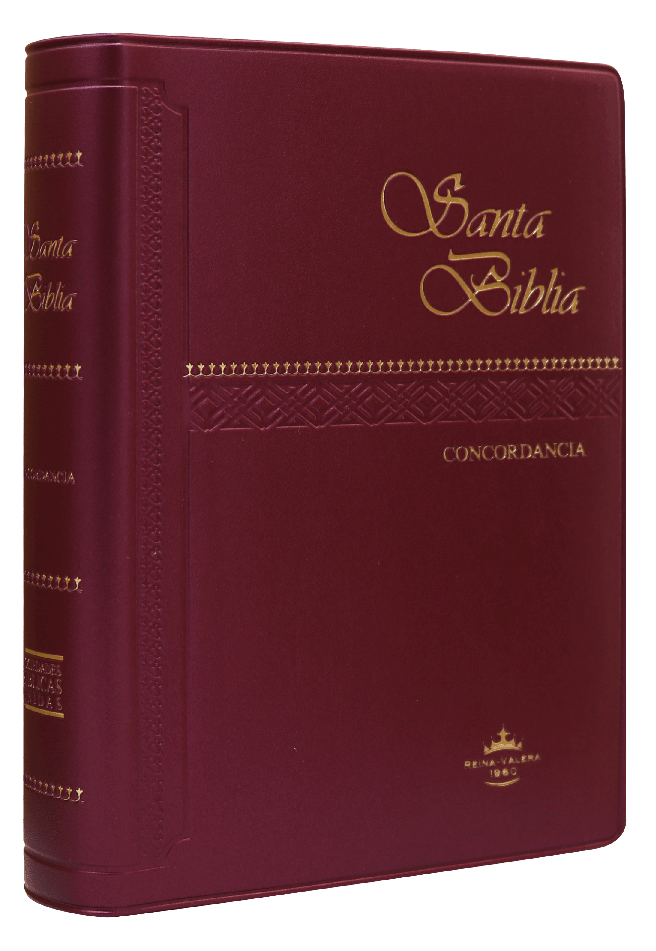 Biblia Reina Valera 1960 Chica Letra Chica Vinil Vino [RVR042C]