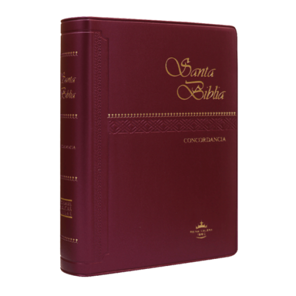 Biblia Reina Valera 1960 Chica Letra Chica Vinil Vino [RVR042C]