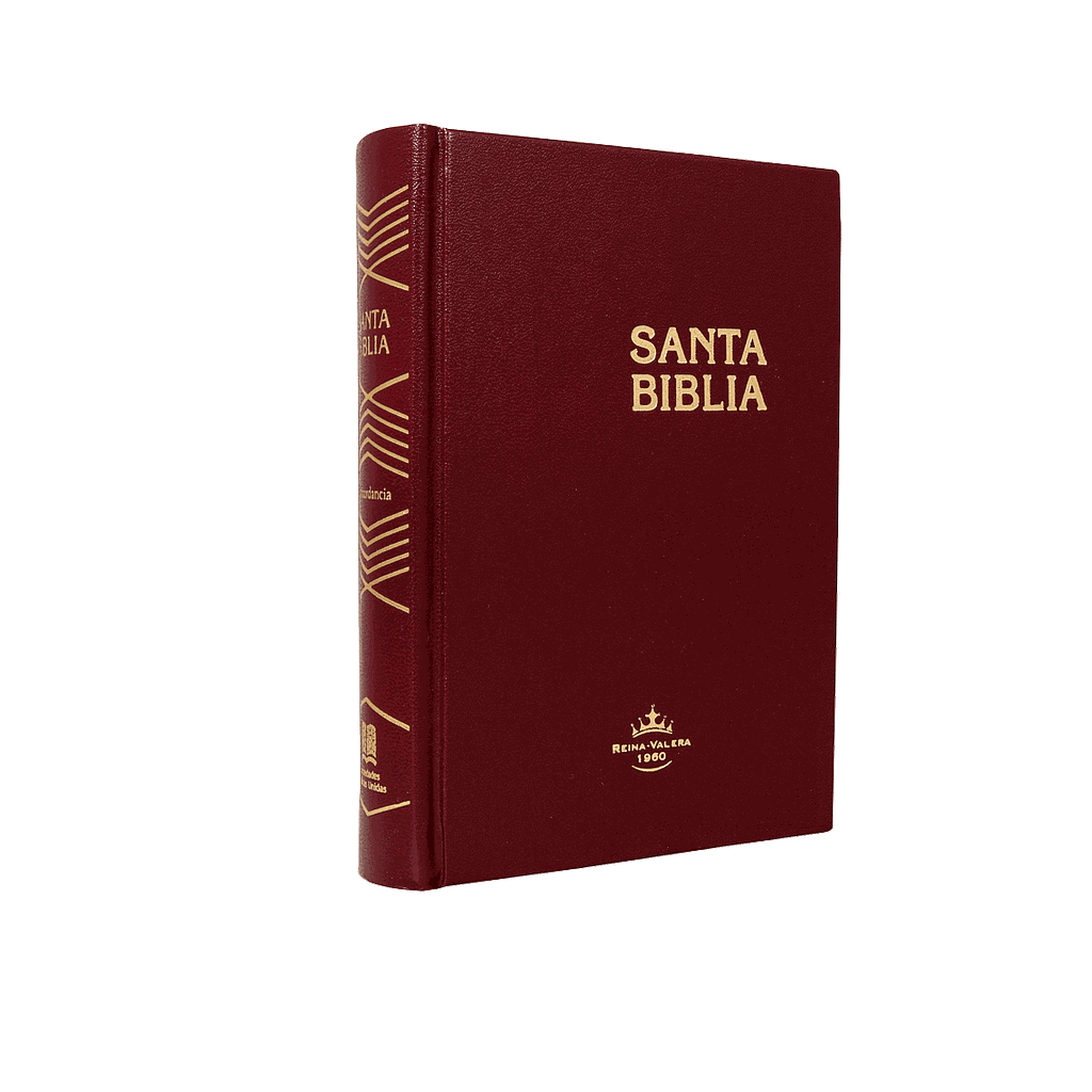 Biblia Reina Valera 1960 Chica Letra Chica Tapa Dura Vino [RVR043c]