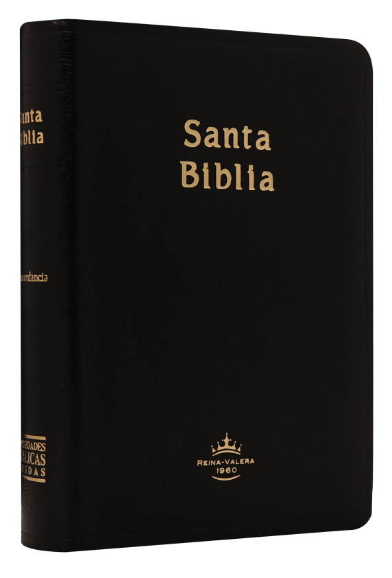 BIBLIA RVR045c CHICA IMIT NEGRO