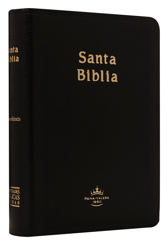 Biblia Reina Valera 1960 Chica Letra Mediana Imitación Piel Negro [RVR045c]