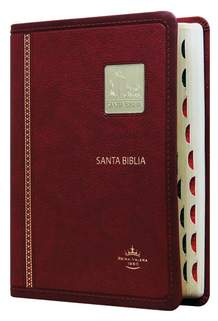 Biblia Reina Valera 1960 Chica Letra Mediana Imitación Piel Vino Placa [RVR045cLGTI]