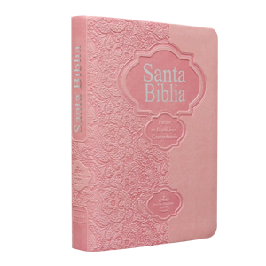 Biblia Fuente de Bendiciones Reina Valera 1960 Chica Letra Mediana Imitación Piel Rosa [RVR046CLMFB]