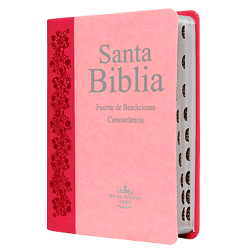 Biblia Fuente de Bendiciones Reina Valera 1960 Chica Letra Mediana Imitación Piel Rosa [RVR045cLMFBTI]