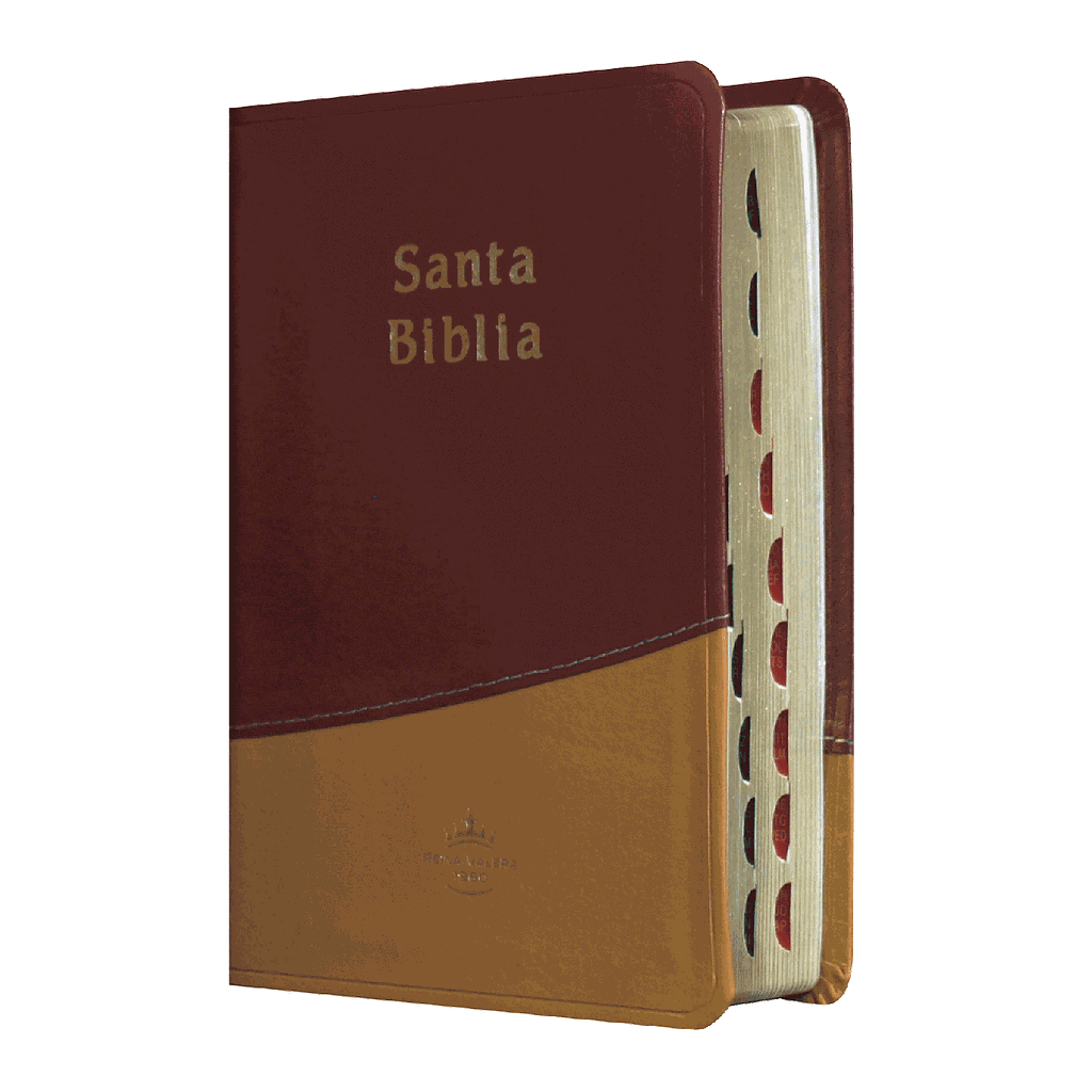 BIBLIA RVR045cTI CHICA IMIT MOST/NAR