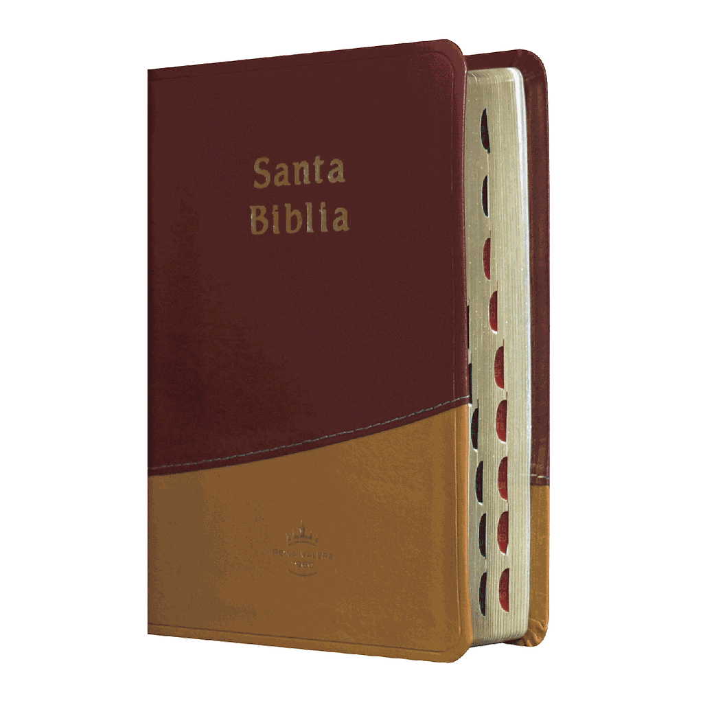 Biblia Reina Valera 1960 Chica Letra Mediana Imitación Piel Mostaza Naranja [RVR045cTI]