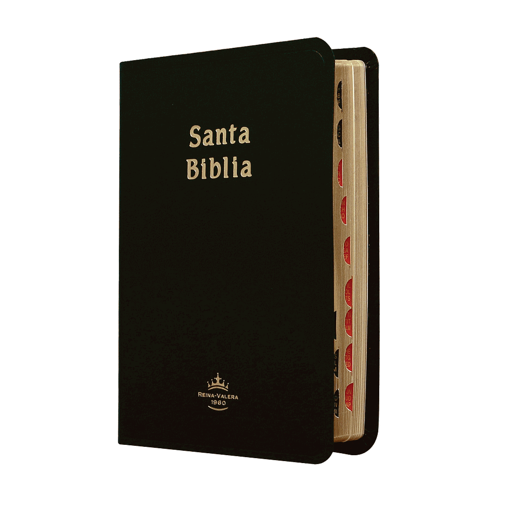 Biblia Reina Valera 1960 Chica Letra Chica Imitación Piel Negro [RVR045cTI]