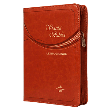 Biblia Reina Valera 1960 Chica Letra Mediana Letra Grande Imitación Piel Café [RVR045cZLGTI]