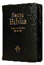 BIBLIA RVR046cLMFBZTI PU NGO CIERRE