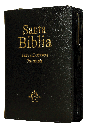 Biblia Fuente de Bendiciones Reina Valera 1960 Chica Letra Mediana Imitación Piel Negro [RVR046cLMFBZTIPU]