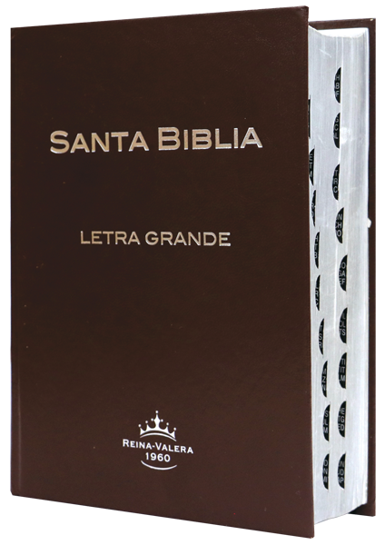 Biblia Reina Valera 1960 Mediana Letra Grande Tapa Dura Café [RVR053CTILGPJR]
