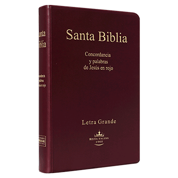 Biblia Reina Valera 1960 Mediana Letra Grande Vinil Vino [RVR062cLGPJR]