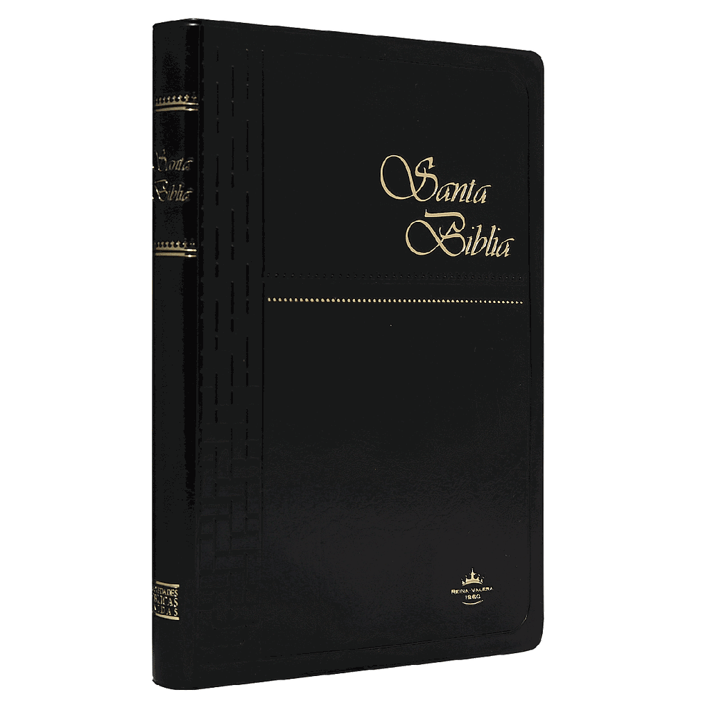 Biblia Reina Valera 1960 Mediana Letra Mediana Vinil Negro [RVR062]