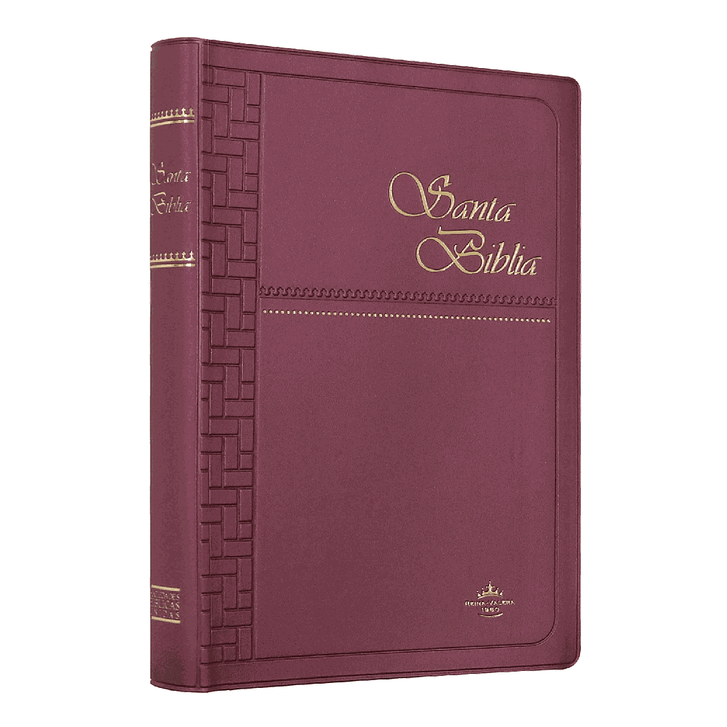 Biblia Reina Valera 1960 Mediana Letra Mediana Vinil Vino [RVR062]