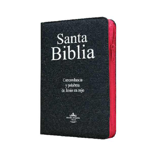 Biblia Reina Valera 1960 Mediana Letra Grande Mezclilla Rosa [RVR064CLGPJRZTIA]