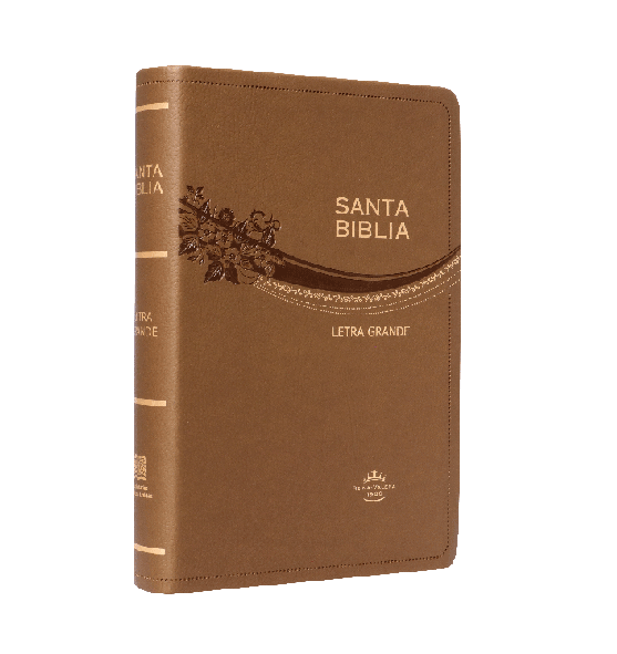 Biblia Reina Valera 1960 Mediana Letra Grande Imitación Piel Café Oro [RVR065CLG]