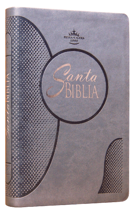 Biblia Reina Valera 1960 Mediana Letra Grande Imitación Piel Gris [RVR065cLGPJR]