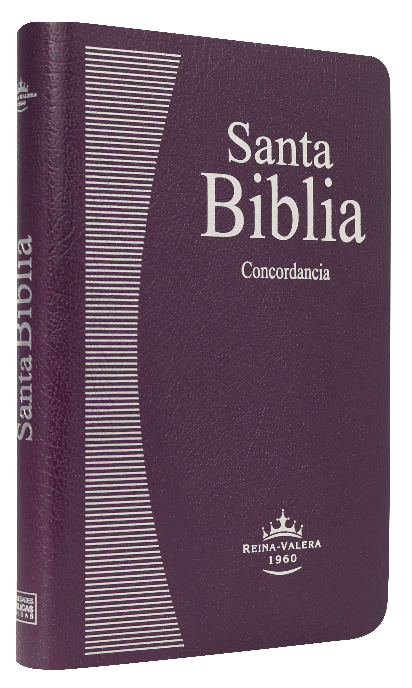 Biblia Reina Valera 1960 Mediana Letra Mediana Imitación Piel Lila [RVR065ec]