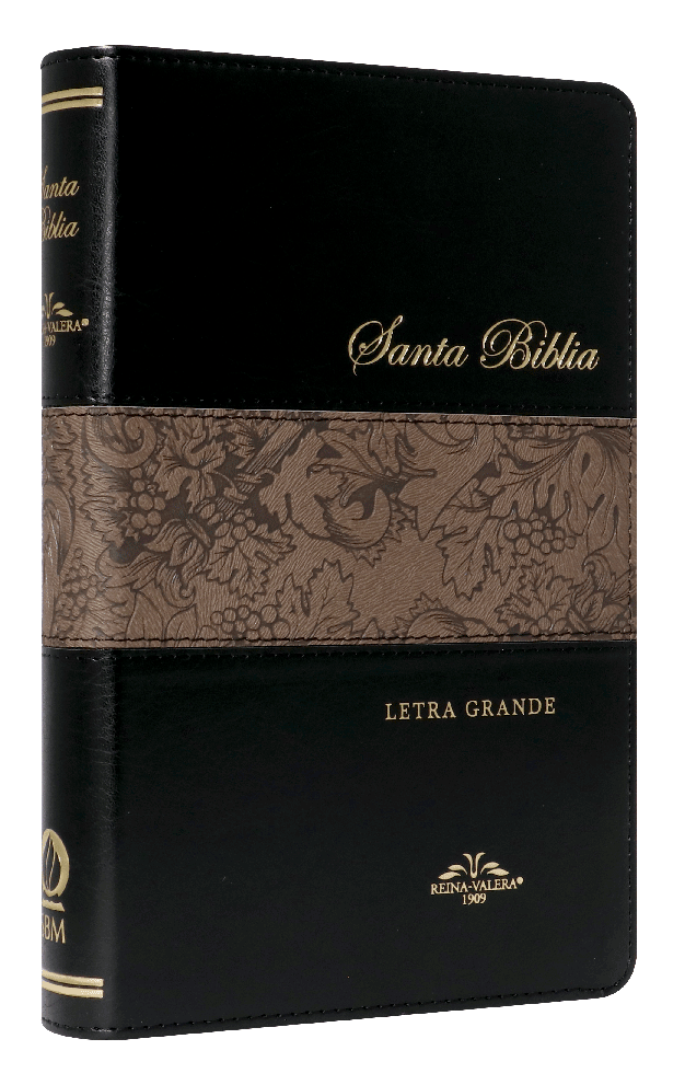 BIBLIA VR065LG 1909 NEGRO