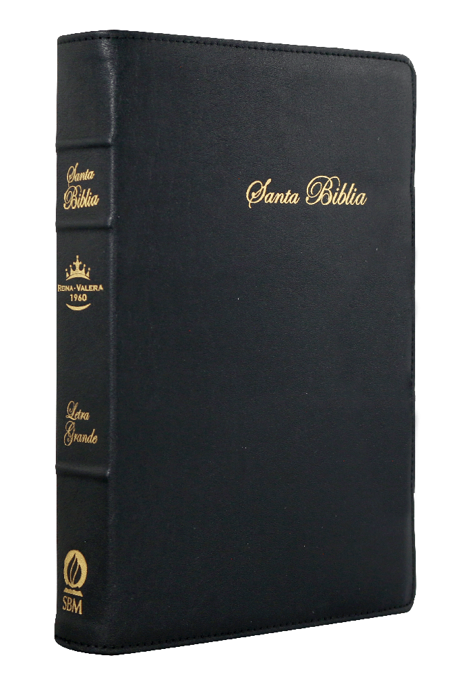 Biblia Reina Valera 1960 Mediana Letra Grande Imitación Piel Negro [RVR065cLGPJR]