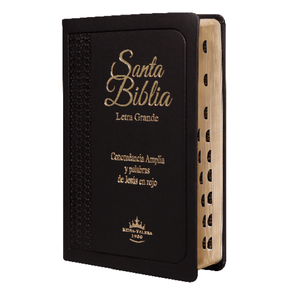 Biblia Reina Valera 1960 Mediana Letra Grande Imitación Piel Negro [RVR055CLGPJRTI]