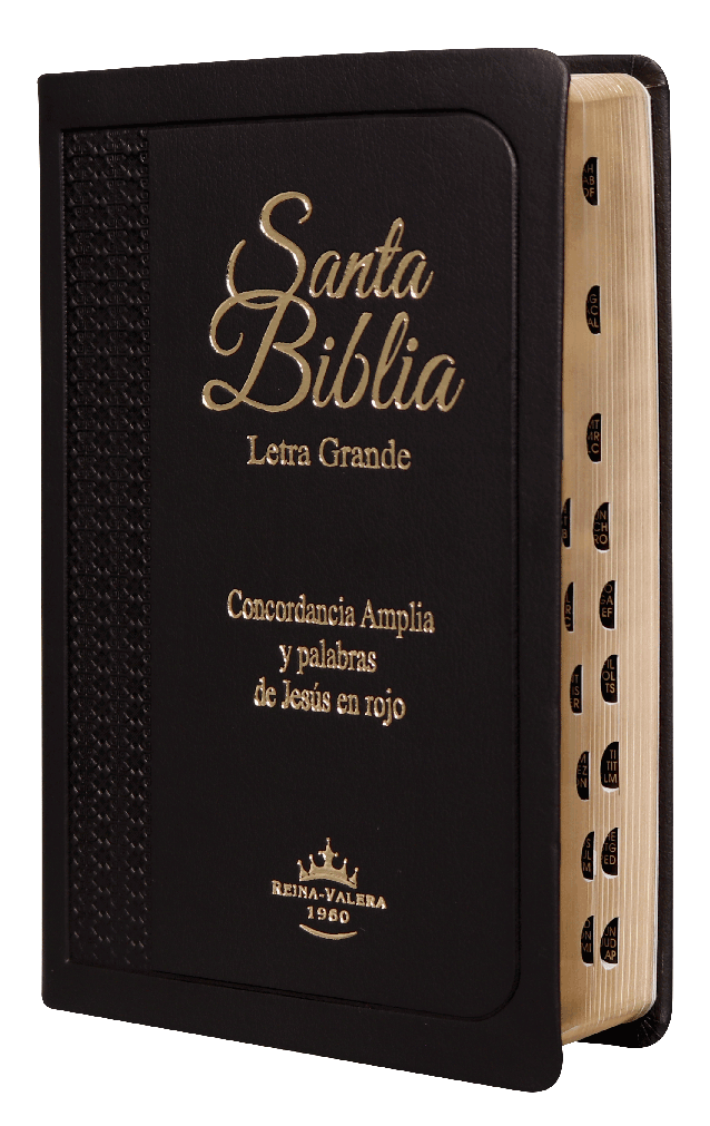 Biblia Reina Valera 1960 Mediana Letra Grande Imitación Piel Negro [RVR055CLGPJRTI]