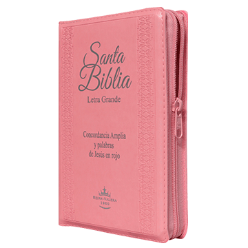 Biblia Reina Valera 1960 Mediana Letra Grande Imitación Piel Rosa [RVR056CLGPJRZTIPU]