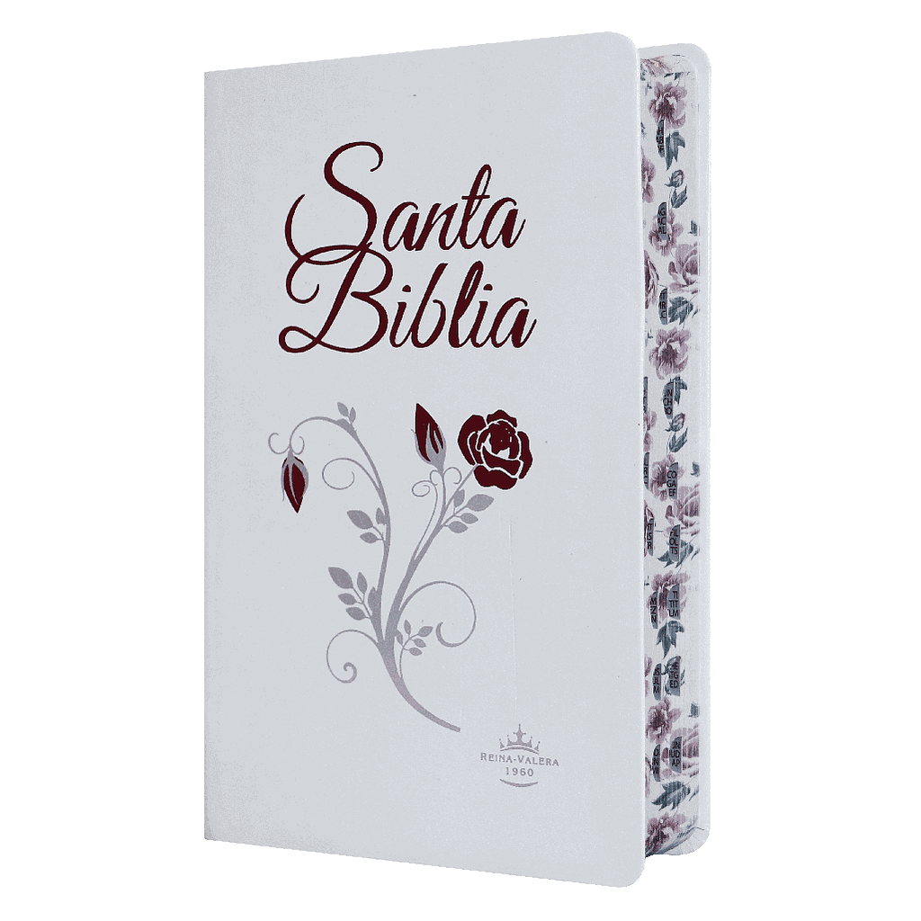 Biblia Reina Valera 1960 Mediana Letra Grande Piel Fabricada Blanco [RVR066cLGPJRTI]
