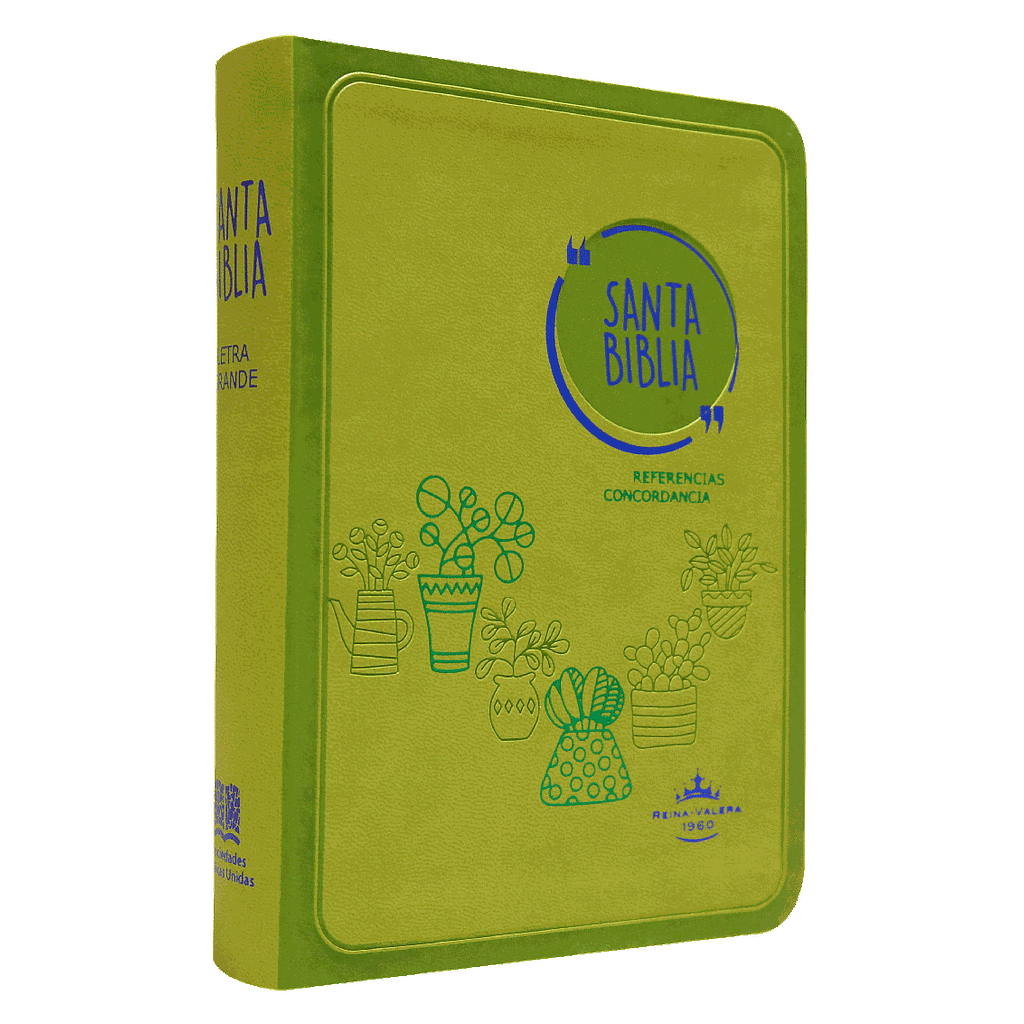 Biblia Reina Valera 1960 Mediana Letra Grande Imitación Piel Verde [RVR045cLG GA]