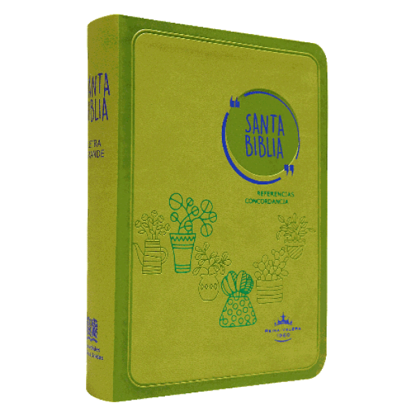 Biblia Reina Valera 1960 Mediana Letra Grande Imitación Piel Verde [RVR045cLG GA]