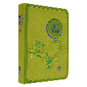 Biblia Reina Valera 1960 Mediana Letra Grande Imitación Piel Verde [RVR045cLG GA]
