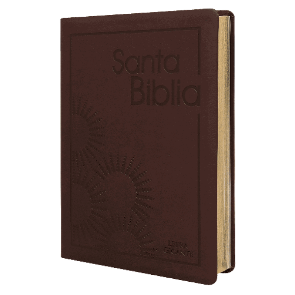 Biblia Reina Valera 1960 Grande Letra Gigante Imitación Piel Vino [RVR085cLGiPJR]