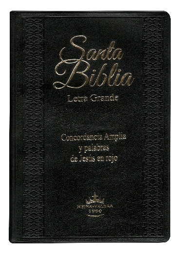 BIBLIA RVR052CLGPJRTI NEGRO CANTO PINTADO