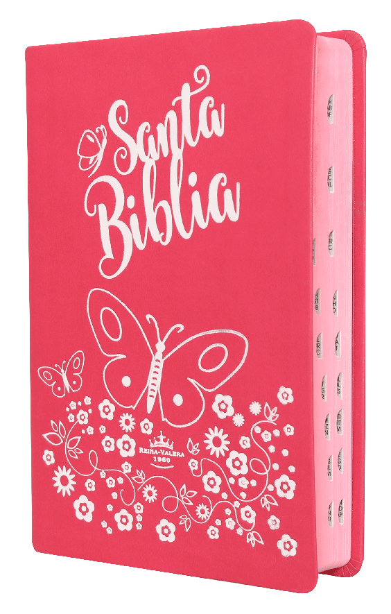 Biblia Reina Valera 1960 Mediana Letra Grande Imitación Piel Rosa [RVR066cLGPJRTIPU]