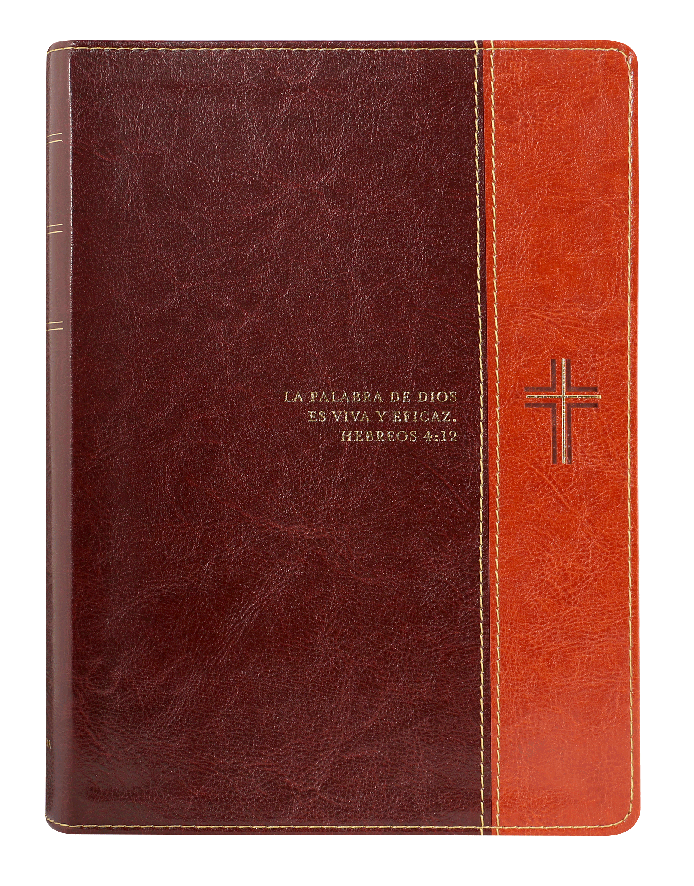 Biblia de Estudio del Diario Vivir Reina Valera 1960 Letra Grande