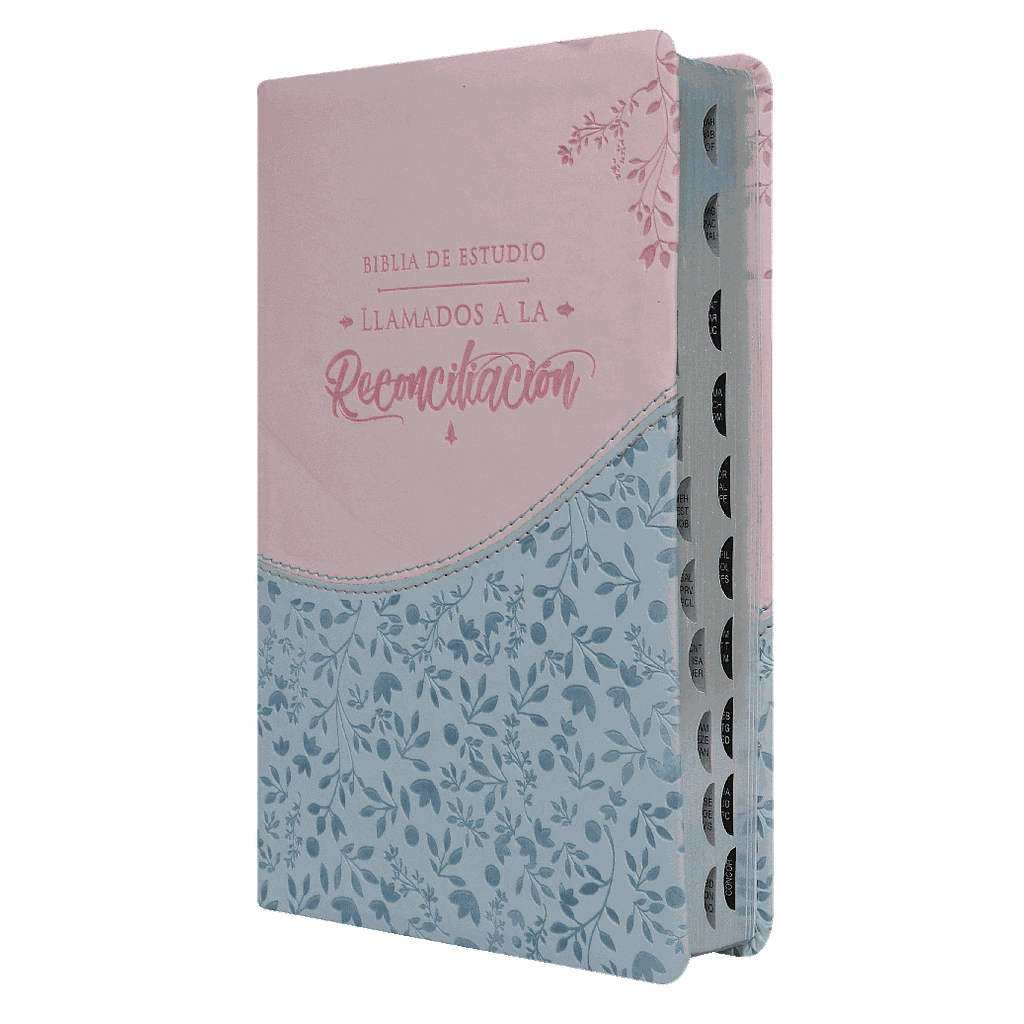 Biblia de Estudio Renacer Reina Valera 1960 Mediana Letra Grande Imitación Piel Azul Rosado [RVR065EETILG]